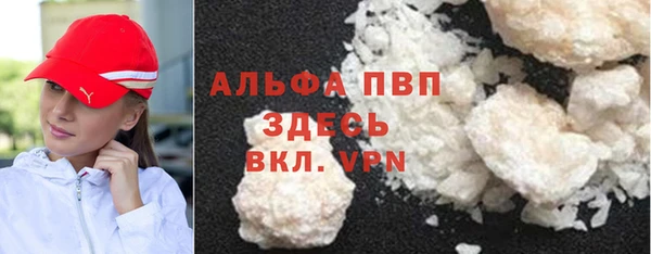 бошки Бородино