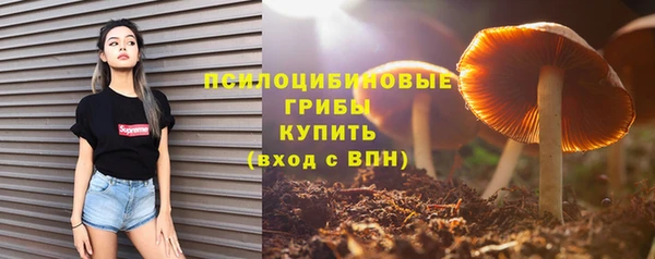 ешки Богородицк